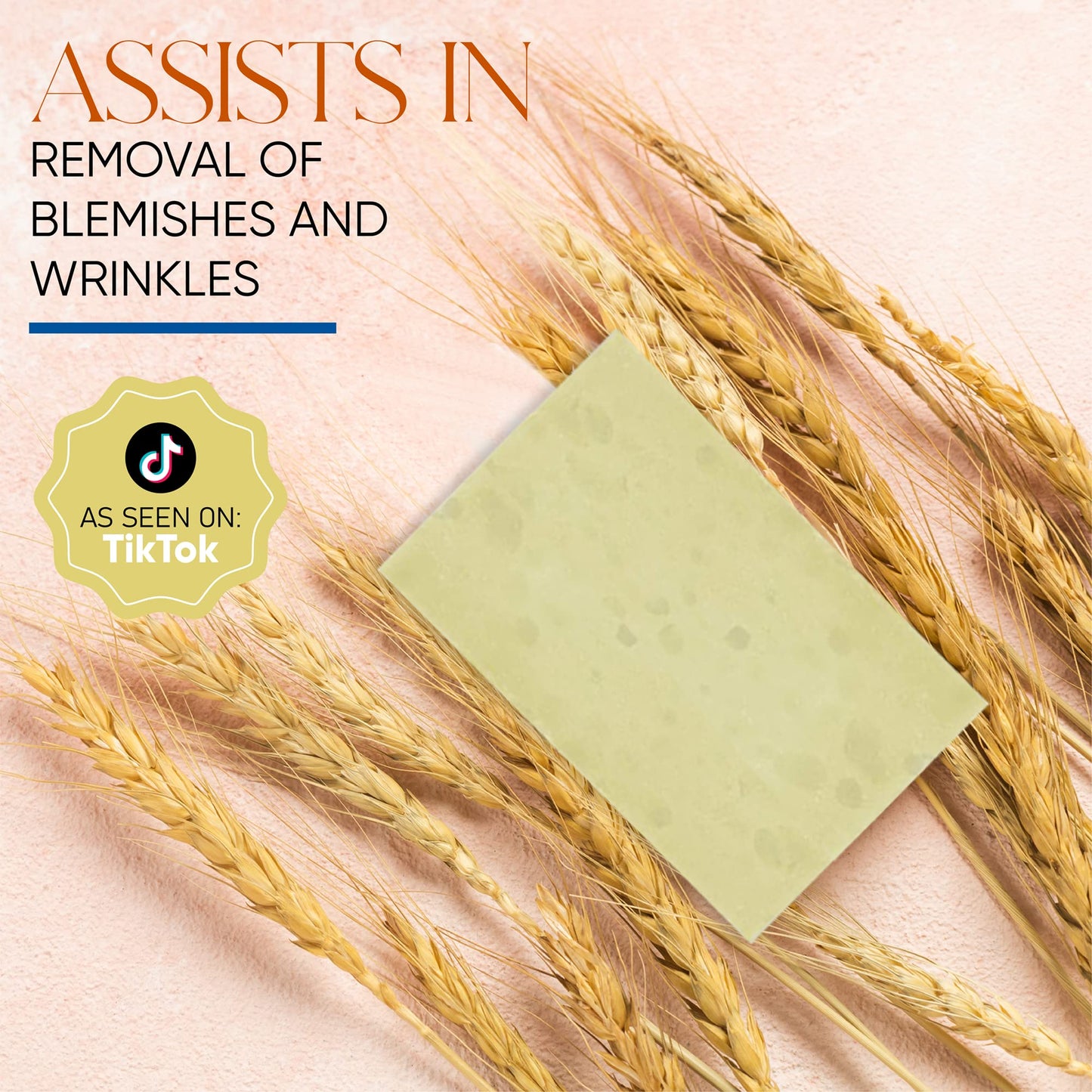 T.Taio Esponjabon Mother of Pearl Soap Sponge - Revitalizing Shower Scrubber for Bath Wash & Oil Removal - Bathroom Essentials with Fresh Scents - Oat with Mini