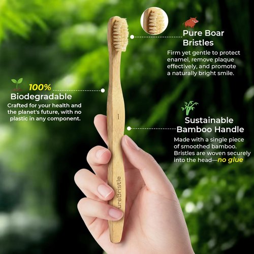 PureBristle Boar Bristle Bamboo Toothbrushes 4-Pack, 100% Biodegradable Plastic Nylon Free, Eco-Friendly Manual Toothbrushes for Adults & Kids, Medium Firmness