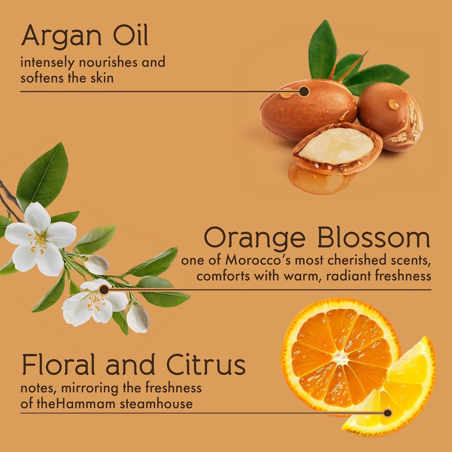 Tesori d’Oriente Body Lotion - Fast-Absorbing Argan Oil Moisturizer | 13.5 fl oz, Orange Blossom Scent
