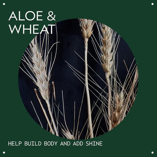 Aveda Volumizing Hair Tonic - Volume Spray for Fine & Medium Hair | Boost Body & Shine with Wheat Amino Acids & Organic Aloe