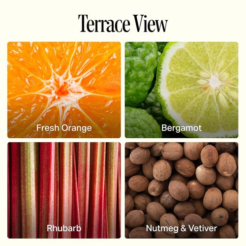 Preston Lane Luxury Hand Wash - Terrace View Scent | Hydrating Organic Oils & Gentle Cleansing, Vegan