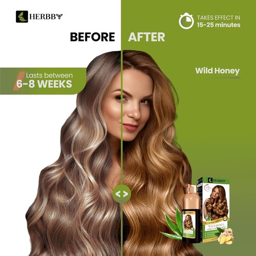 HERBBY Hair Color Shampoo - Gray Coverage & Color Transformation with 9 Herbal Extracts | Long-Lasting Shine, 500ml (Wild Honey)