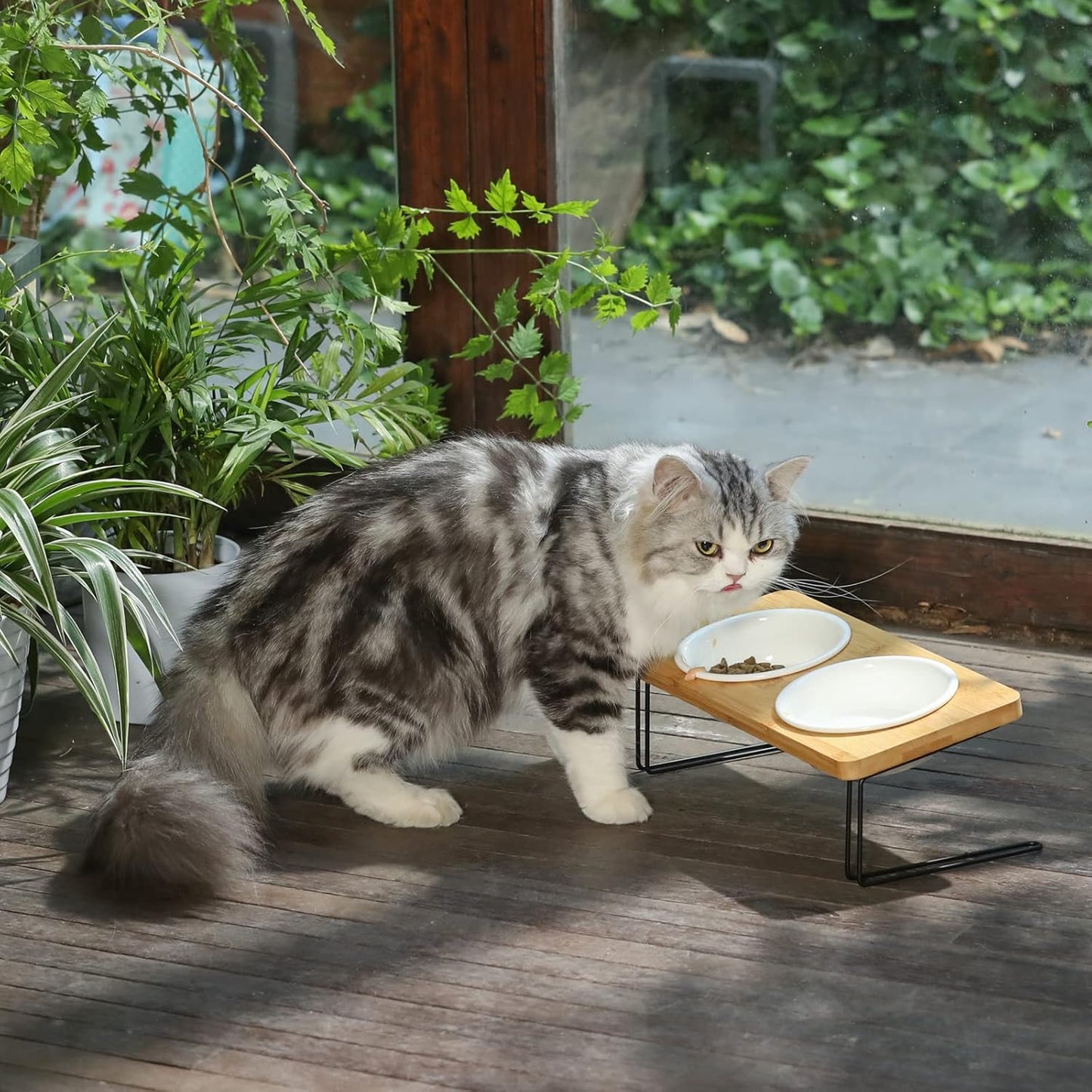 FUKUMARU Elevated Cat Ceramic Bowls, Small Dog 15° Tilted Raised Food Feeding Dishes, Solid Bamboo Water Stand Feeder Set for Cats and Puppy