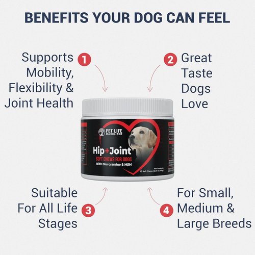 Advanced Dog Hip and Joint Supplement by 3-in-1 - Tasty Glucosamine Chews for All Breeds & Seniors - Chicken Flavor