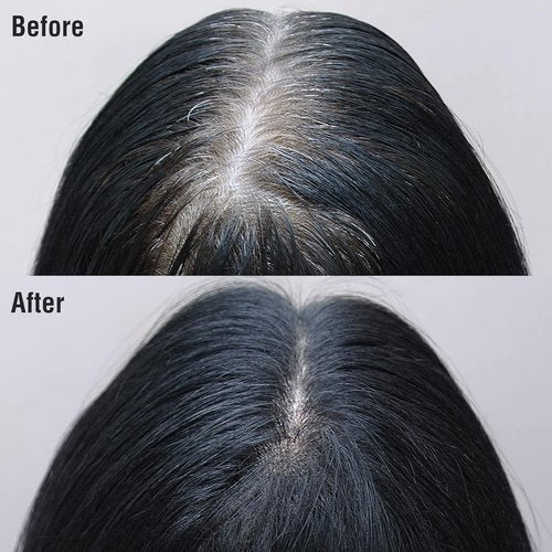 Kiss Gray Hair Concealer - Temporary Root Touch-Up Color Spray | 2.82 oz, 2-Pack (Black)