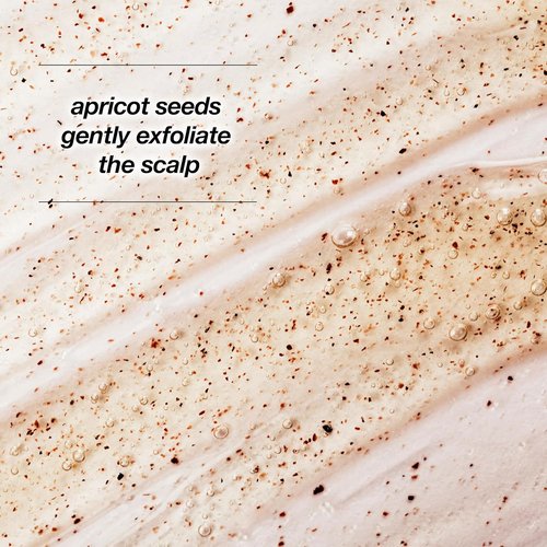 Biotera Intensives Scalp Scrub & Shampoo - Vegan, Paraben & Sulfate Free | Color-Safe | 6 Fl Oz