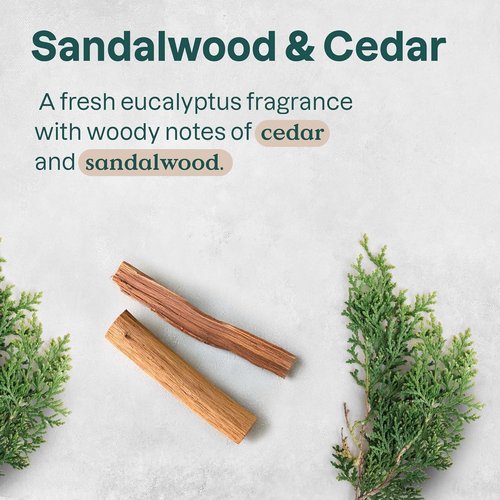 ATTITUDE Aluminum Free Deodorant - Natural Ingredients, EWG Verified, Sandalwood & Cedar Scent | 2.64 Oz