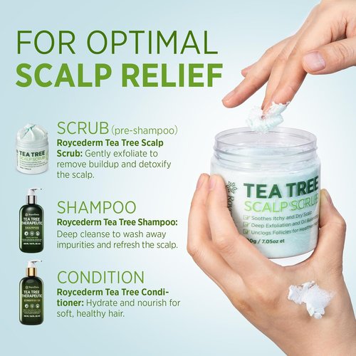 Roycederm Tea Tree Antifungal Shampoo - Medicated Folliculitis Treatment for Dry, Itchy Scalp | Paraben & Sulfate Free