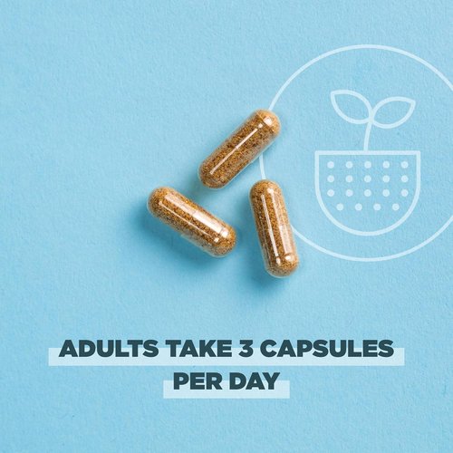 Ancient Nutrition Women's Hormones Capsules - Supports Hormone Health & Digestion | 90 Count, Organic & Gluten-Free