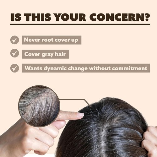 Regine Switzerland Tinted Color Temporary Spray - Gray Root Touch-Up, Jet Black, Quick Dry & Humidity-Resistant
