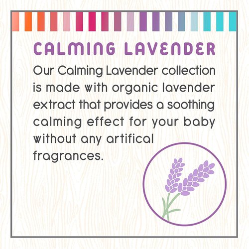 Little Twig Detangling Conditioner - Natural Plant-Derived Formula with Essential Oils | Lavender, 8.5 fl oz
