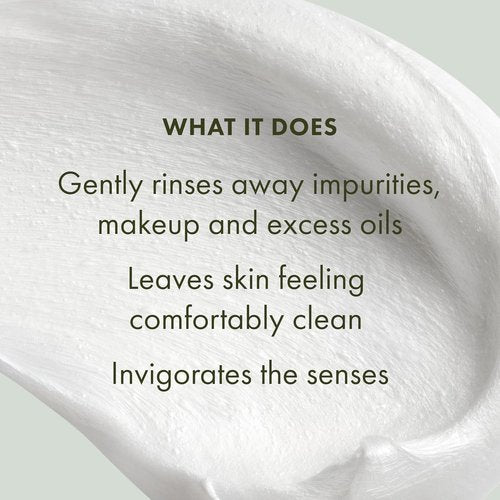 Origins Frothy Face Wash Bundle Set - Gently Cleanses All Skin Types | 2-Piece with Mint