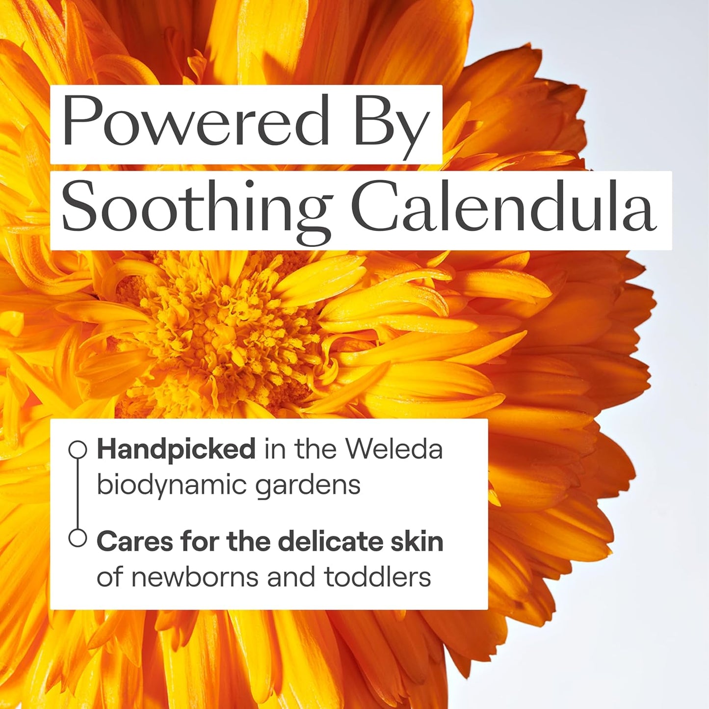 Weleda Baby Calendula 2-in-1 Gentle Shampoo & Body Wash - Plant-Rich Cleanser, 6.8 Fl Oz