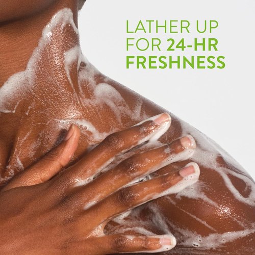 Native Body Wash - Naturally Derived Ingredients for Soft, Hydrated Skin | Key Lime & Sugar, 18 oz