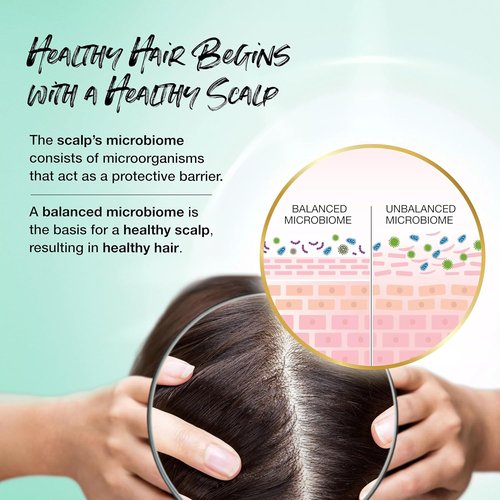 Biotera Color Care Shampoo - Extend & Maintain Color-Treated Hair | Vegan, Paraben-Free, Microbiome Friendly