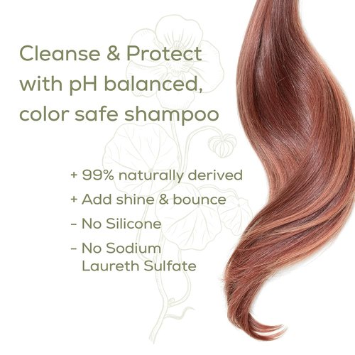 Naturtint Color Care Shampoo - Vibrant Formula for Color-Treated Hair | Paraben-Free, 12 oz