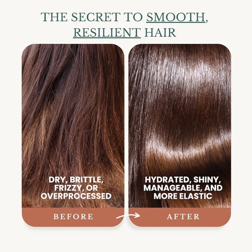 Argan Oil Shampoo and Conditioner Set - Biotin-Infused for Repairing Dry, Damaged Hair | Sulfate-Free, Organic, 16 fl oz Each