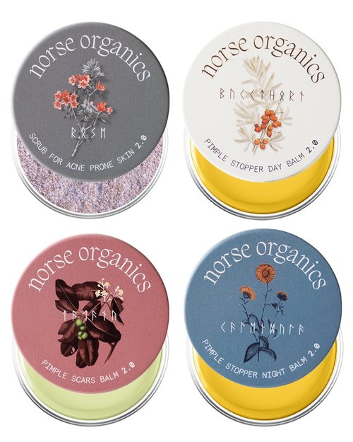 Norse Organics | Complete Pimple Control System 2.0 | 4-Step Skincare Kit with Arctic Herbs | Includes Day & Night Balms, Scar Balm, Face Scrub | All Skin Types (4 Pcs)
