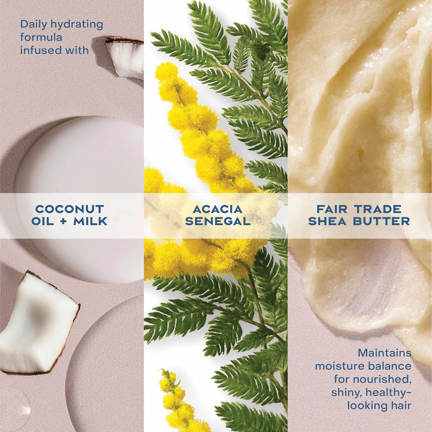 Shea Moisture Daily Hydration Shampoo - Virgin Coconut Oil, Sulfate-Free, 13 oz for All Hair Types