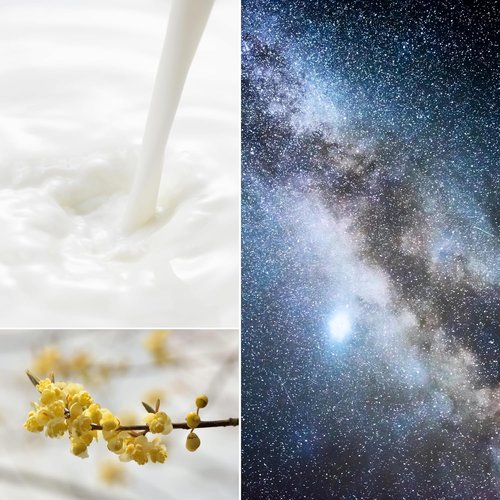 Cozy Milk Perfume Oil Roll-On | Unisex Gourmand Fragrance with Caramel & Tonka Bean | Vegan & Alcohol-Free (10ml)