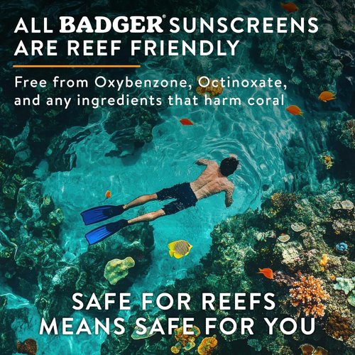 Badger Mineral Sunscreen Face Stick - SPF 35, 97% Organic, Unscented, Coral Reef Safe | Travel Size .65 oz