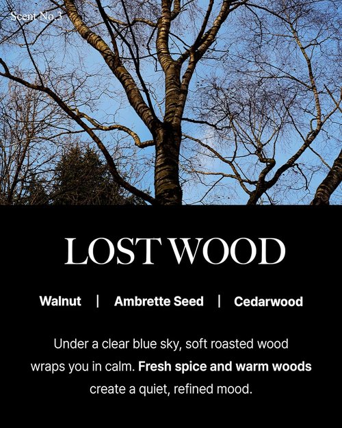 Lost Wood Hand Cream - Moisturizing Korean Hand Care with Shea Butter & Niacinamide - 1.69oz