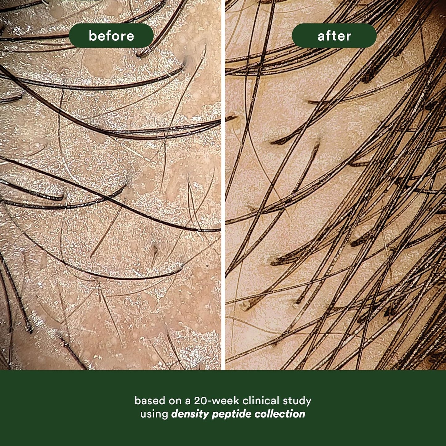 VERB Density Peptide Serum, Visibly Thicken + Reduce Signs of Shedding- No Parabens or Harmful Sulfates