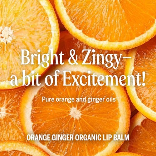 Dr. Bronner’s Organic Lip Balm - Moisturizing & Natural Petroleum-Free Formula | 6-Pack (.15oz) - Orange Ginger
