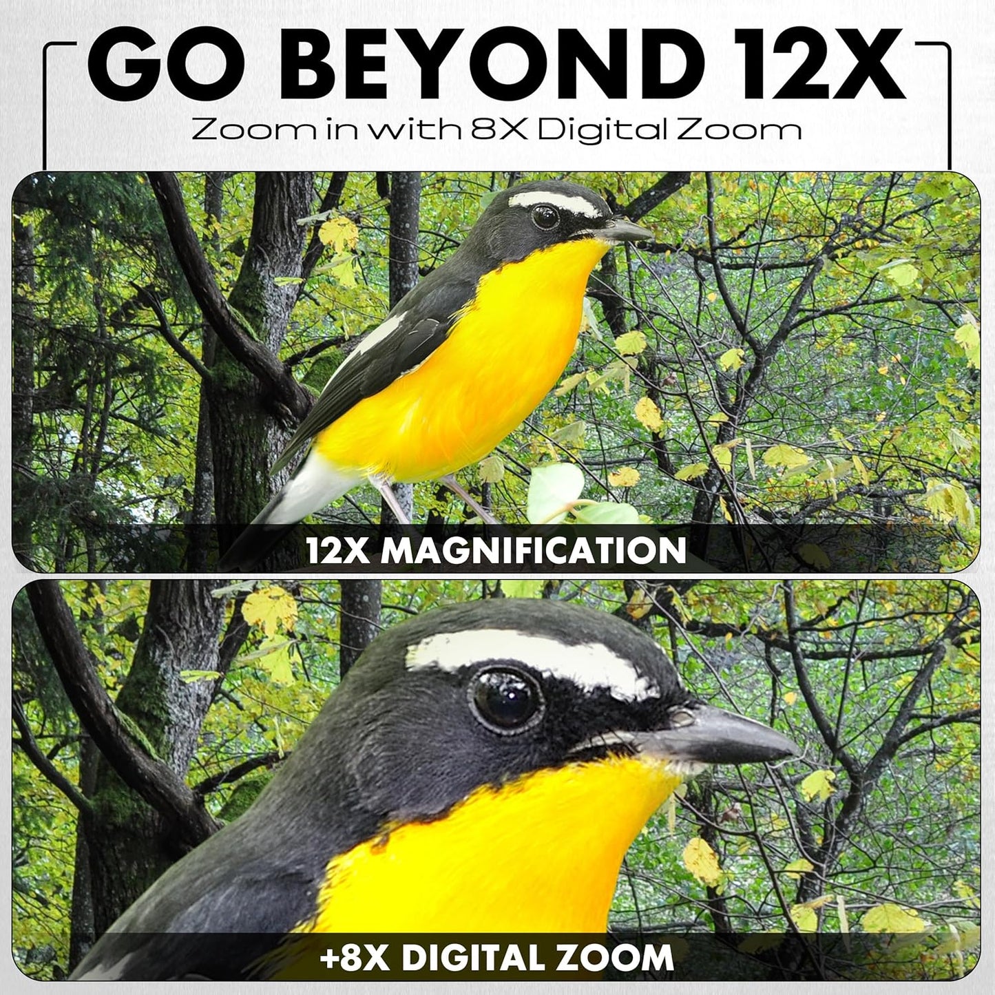 Minolta 12x32 Digital Binoculars - 4K UHD Video Camera, 48MP Photo, 8X Digital Zoom, IPS Anti-Glare Screen, Fog-Resistant Optics, Compact, Ideal for Birdwatching & Travel Hunting