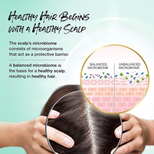 Biotera Volumizing Shampoo - Ultra Thick Formula for Fine, Limp Hair | Vegan & Paraben Free