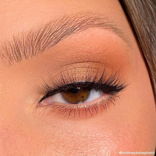 ColourPop Eyeshadow Palette - High-Pigment Eye Makeup with Matte & Glitter Finishes | Bare Necessities (0.04 oz)