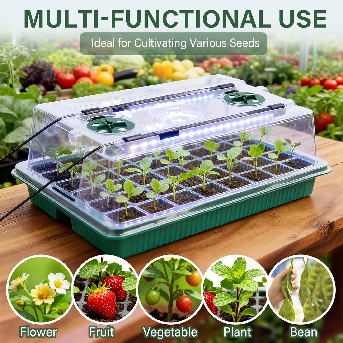 Seed Starter Tray with Grow Light by [Brand Name] - 80 Cells Indoor Seeding Kit with Adjustable Humidity Dome & 10 Brightness Levels