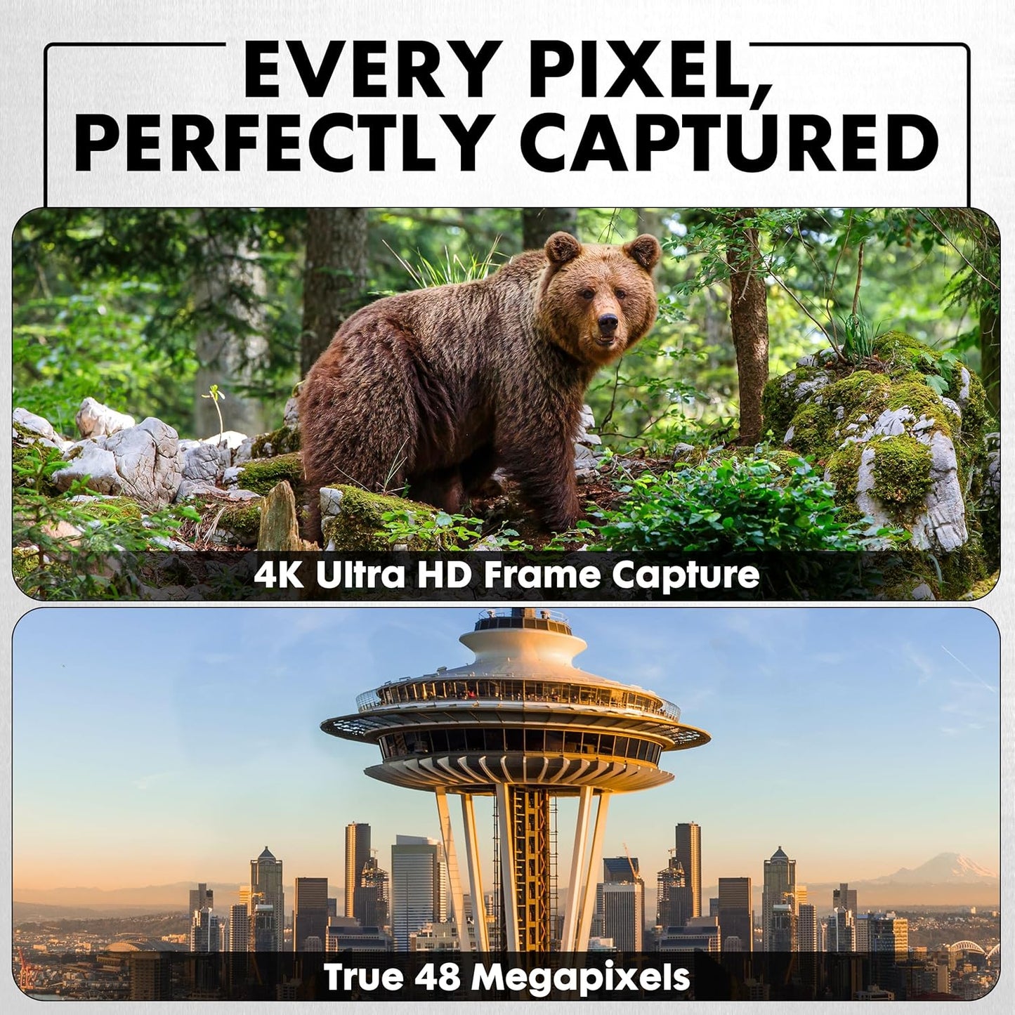 Minolta 12x32 Digital Binoculars - 4K UHD Video Camera, 48MP Photo, 8X Digital Zoom, IPS Anti-Glare Screen, Fog-Resistant Optics, Compact, Ideal for Birdwatching & Travel Hunting