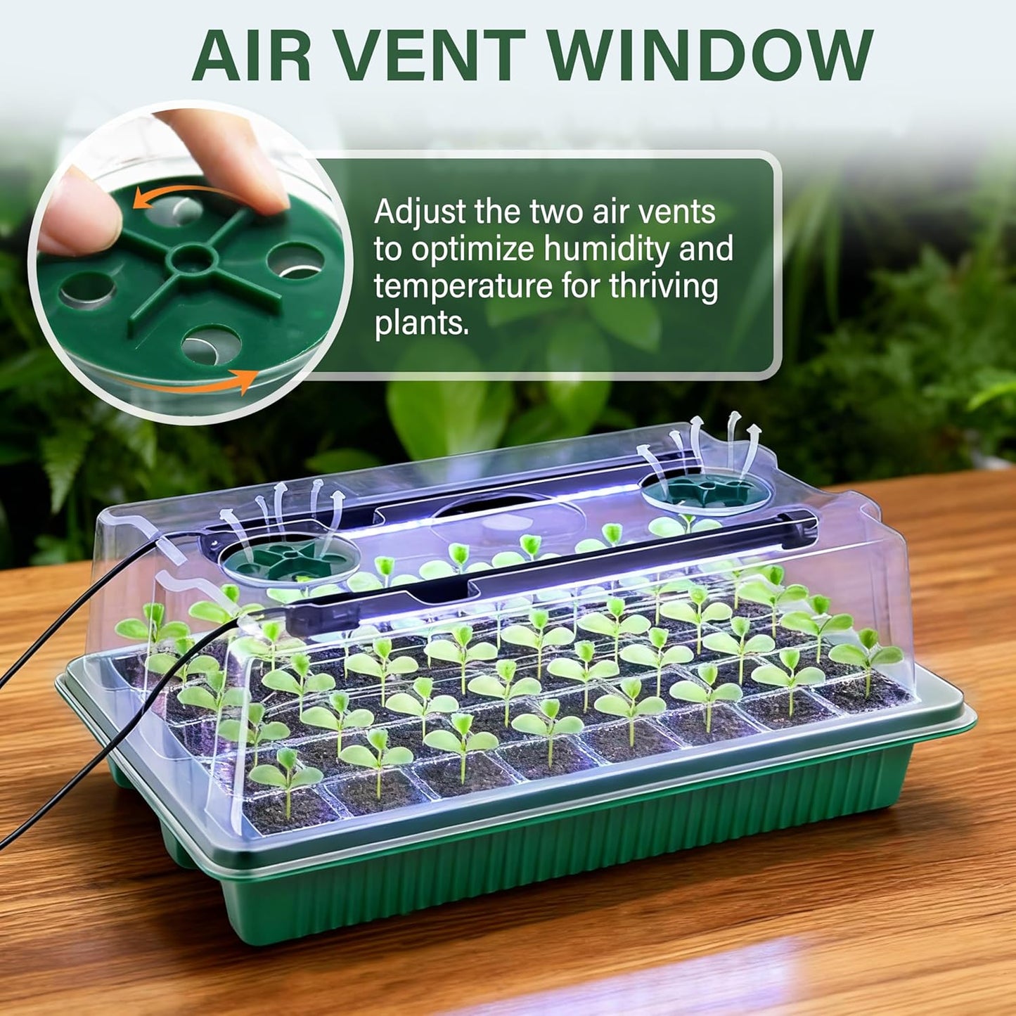 Seed Starter Tray with Grow Light by [Brand Name] - 80 Cells Indoor Seeding Kit with Adjustable Humidity Dome & 10 Brightness Levels