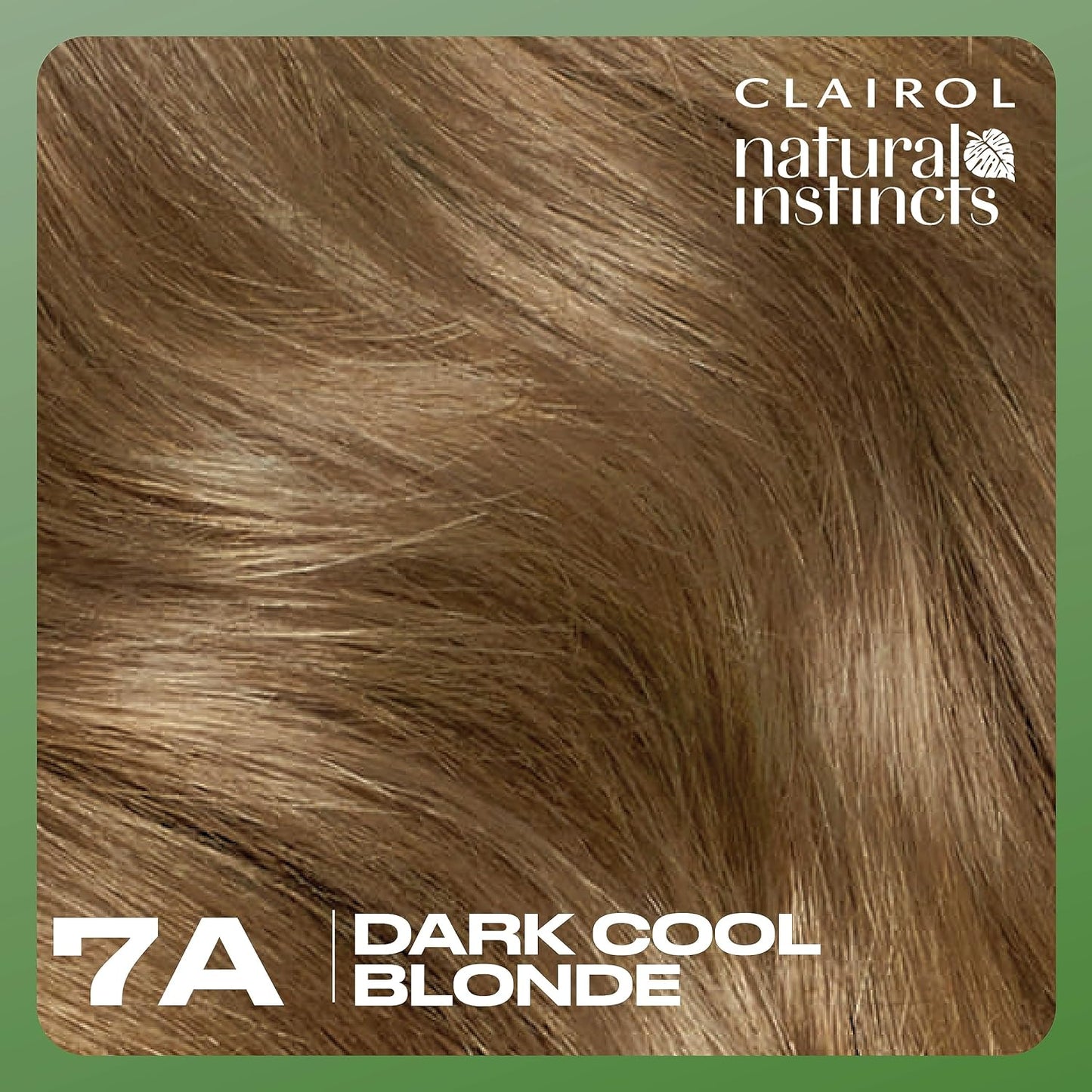 Clairol Natural Instincts Demi-Permanent Hair Dye - 7A Dark Cool Blonde Color | Pack of 1