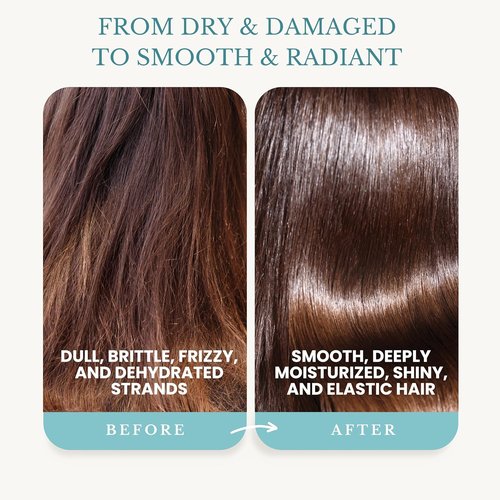 Edenika Botanicals Argan Oil Conditioner - Restorative & Smoothing Formula | 16 fl oz, Vegan, Paraben-Free, Sulfate-Free
