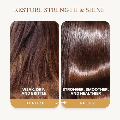 Edenika Botanicals Ginger Root Shampoo - Fortifying Biotin Formula for Hair Regrowth & Scalp Nourishment | 16 fl oz