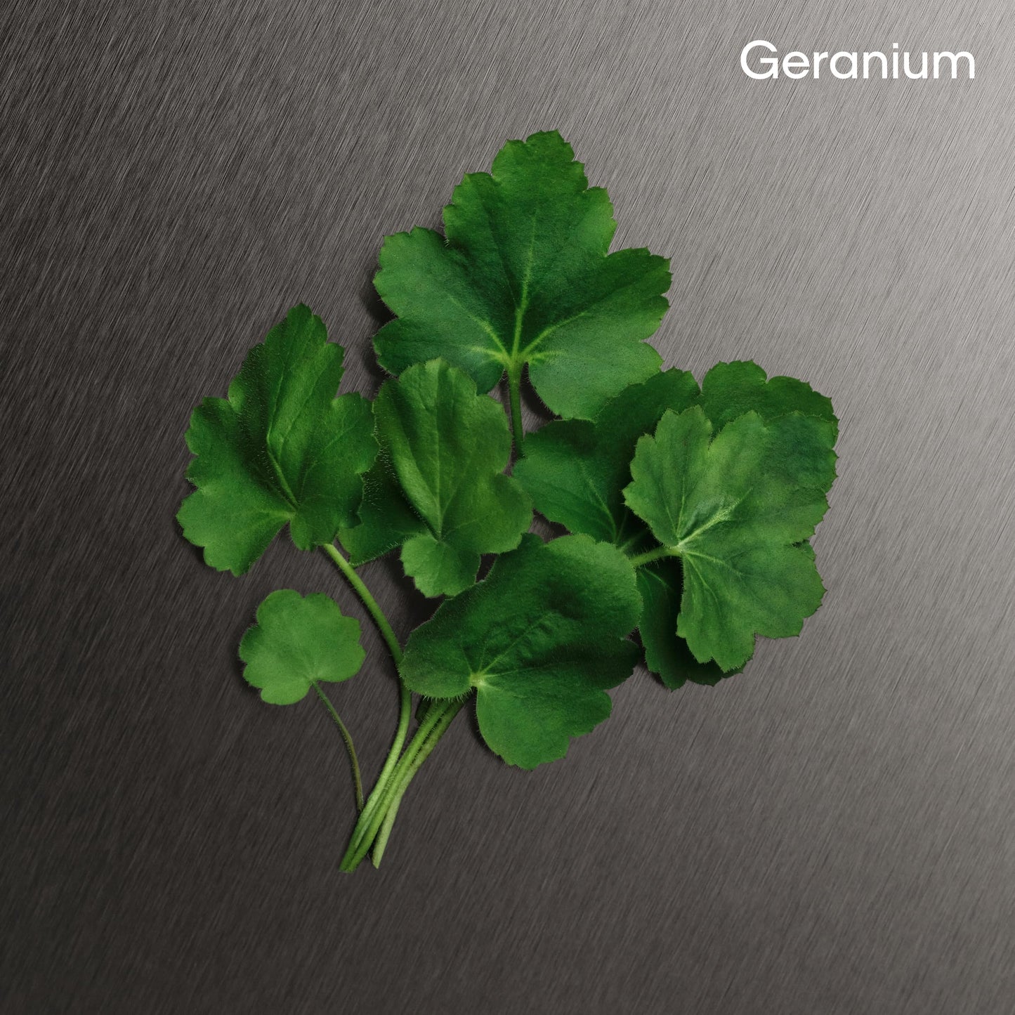 Calvin Klein Eternity For Men Aftershave Balm 5 fl oz