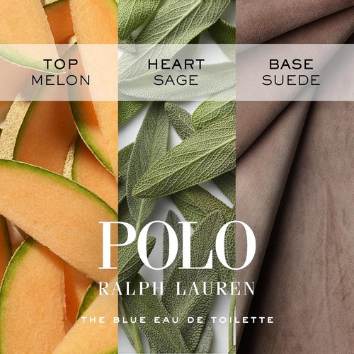 Ralph Lauren Fragrances - Polo Blue Eau de Toilette - Men's Cologne - Aquatic Freshness with Citrus & Sage