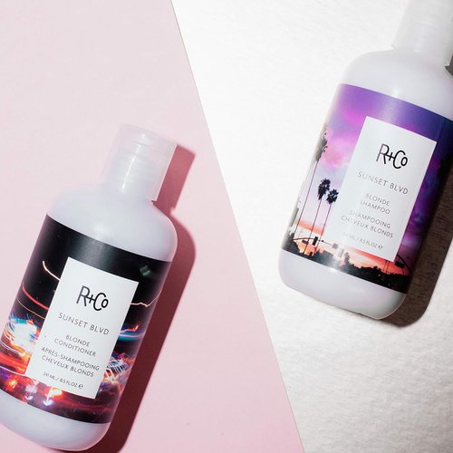 R+Co Sunset Blvd Daily Blonde Shampoo - Brightening & Brassiness Control | Hydrating Formula | 8.5 Fl Oz