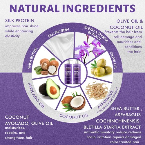 Natural Riches Purple Shampoo & Conditioner Set - Sulfate-Free, Color-Safe for Blonde & Gray Hair | 16x2 fl oz