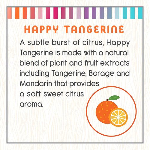Little Twig Conditioner - Natural Plant-Derived Formula for Nourished Hair | Tangerine, 8.5 fl oz