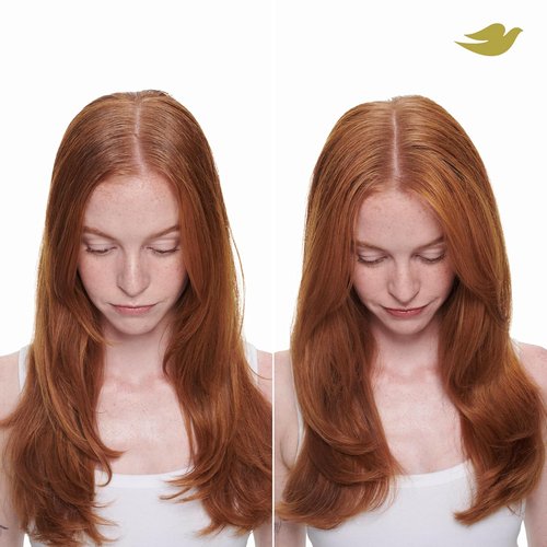 Dove Advanced Dry Shampoo - Fresh Coconut Formula for Clean, Revived Hair | 7.3 oz