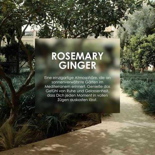 Jean & Len Eau de Toilette - Rosemary & Ginger Mini Perfume in Minimalistic Glass Bottle | 0.34 Fl. Oz.
