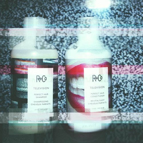 R+Co TELEVISION Perfect Hair Shampoo – Hydrating & Smoothing Hair Cleanser, Adds Shine & Softness, All Hair Types