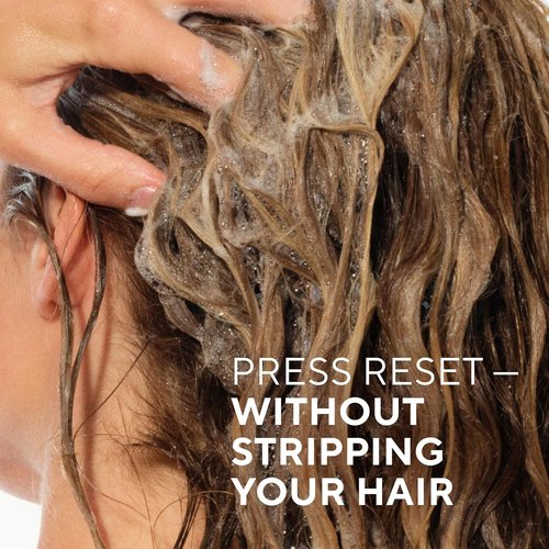 Native Vanilla & Cactus Flower Shampoo & Conditioner - Naturally Derived, Sulfate & Dye Free | 2-Pack for All Hair Types