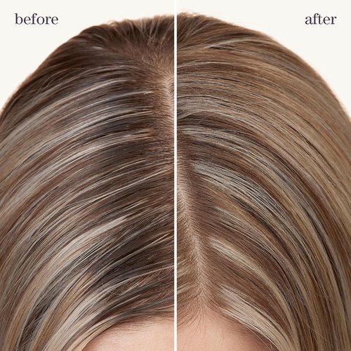 Pureology Style + Protect Refresh & Go Dry Shampoo - Volumizing, Silicone-Free Formula for Oily, Color-Treated Hair