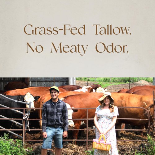 Ancestral Haven Beef Tallow for Skin - Tallow and Honey Balm For Face - Tallow Face Moisturizer - Beef Tallow Moisturizer - Tallow Balm