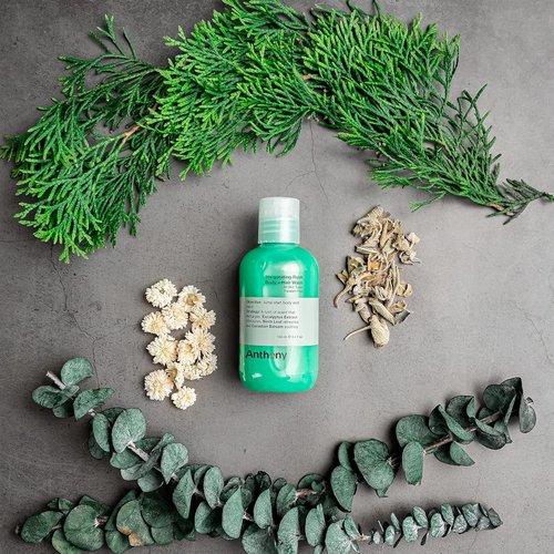 Anthony 2-In-1 Body Wash & Shampoo - Invigorating Pine Wood Scent with Eucalyptus & Charcoal, 3.4 Fl. Oz