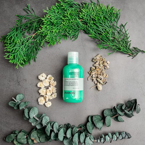 Anthony Mens Body Wash and Shampoo: Invigorating Rush 2-In-1 Liquid Gel Soap & Hair Shampoo – Alpine Wood Scent Contains Eucalyptus Extract, Canadian Balsam & Birch Leaf
